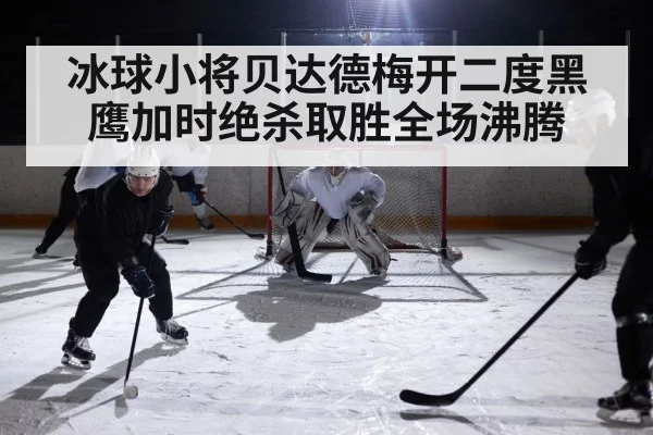 冰球小将贝达德梅开二度黑鹰加时绝杀取胜全场沸腾（kaiyun）