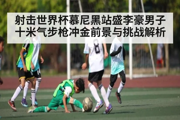 射击世界杯慕尼黑站盛李豪男子十米气步枪冲金前景与挑战解析 | kaiyun